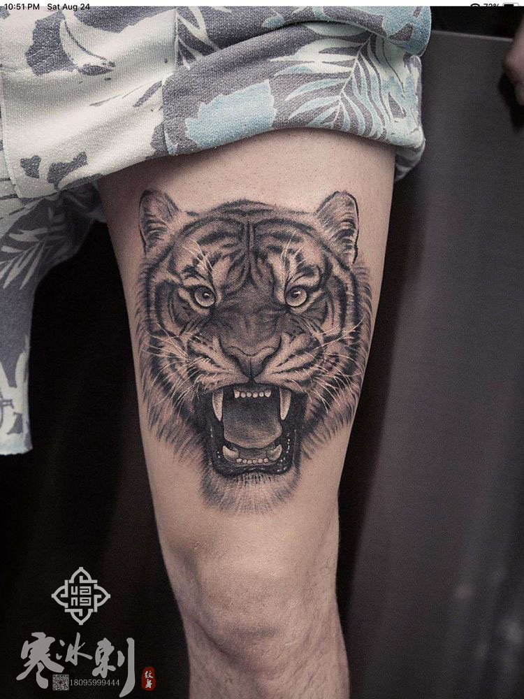 动物老虎纹身