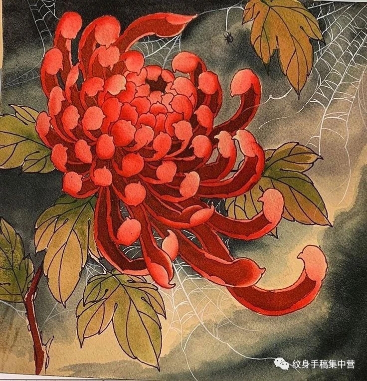 QQ图片20220308150429.jpg